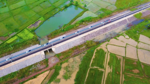 【工视频】发现最美铁路•占芭花开友谊路|与“发现团”一起奔赴山川之美